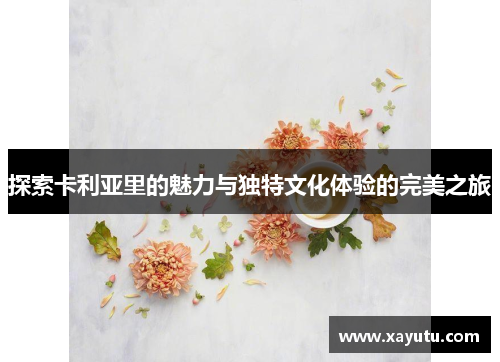 探索卡利亚里的魅力与独特文化体验的完美之旅