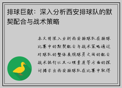 排球巨献：深入分析西安排球队的默契配合与战术策略
